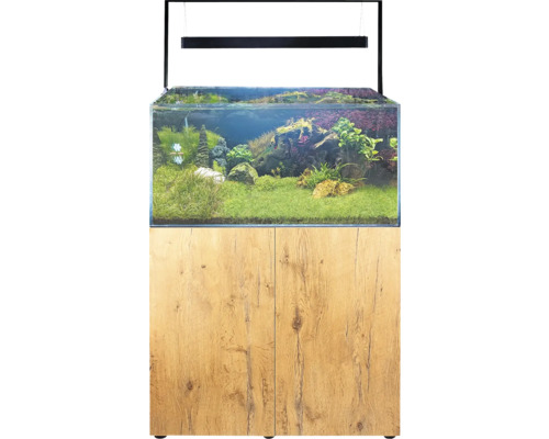 Aquarium met onderkast en beplanting