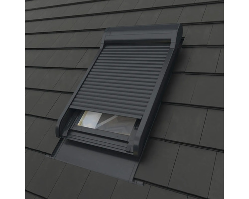 Dakvenster met rolluik