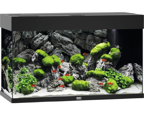 JUWEL Aquarium Rio LED zwart 125 L, 81x36x50 cm