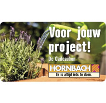 HORNBACH Cadeaubon (verzonden per e-mail)-thumb-5