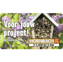 HORNBACH Cadeaubon (verzonden per e-mail)-thumb-13