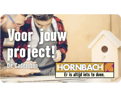 "Twee ambachtslieden bouwen een vogelhuisje