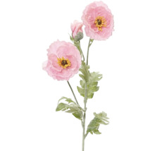 Decoratieve roze papaver met stengel en bladeren