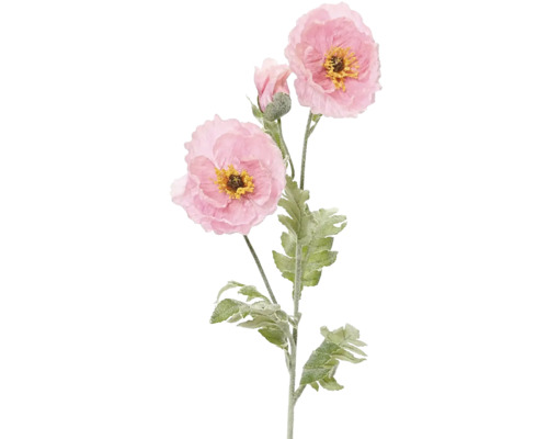 Decoratieve roze papaver met stengel en bladeren