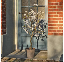 Kunstmatige amandelboom met pot voor een deur
