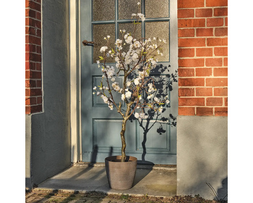 Kunstmatige amandelboom met pot voor een deur
