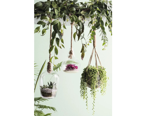 Decoratieve hangplanten in glazen containers met touwophanging creëren een natuurlijke sfeer.