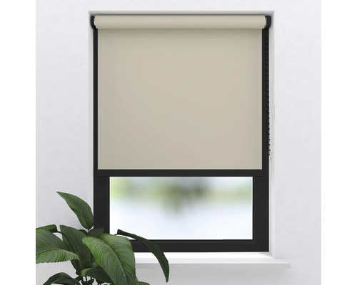 Raam met rolgordijn en plant