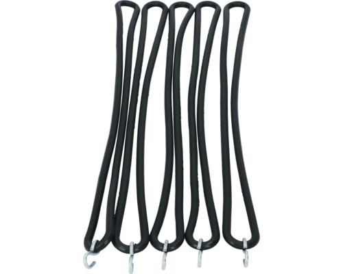 Elastische banden met haken, set