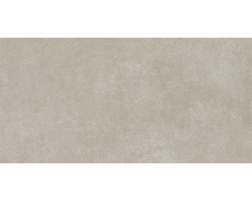 Wand- en vloertegel Boston greige 30x60 cm gerectificeerd Wand- en vloertegel Boston greige 30x60 cm gerectificeerd