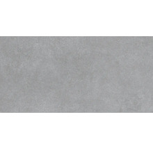 Wand- en vloertegel Boston donkergrijs 30x60 cm gerectificeerd