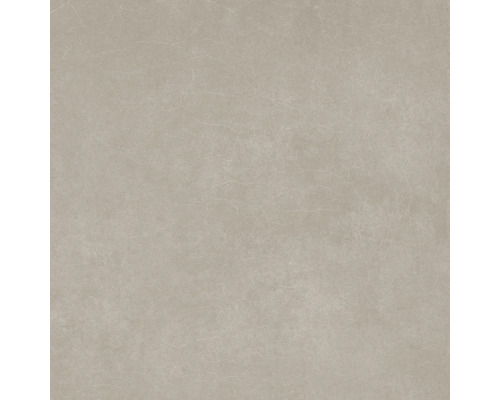 Wand- en vloertegel Boston greige 90x90 cm gerectificeerd Wand- en vloertegel Boston greige 90x90 cm gerectificeerd