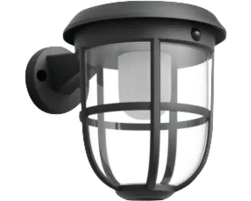 Buitenlamp voor wandmontage met transparante lampenkap en donker frame