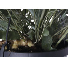 Detailopname van een kunstmatige hangplant in een pot