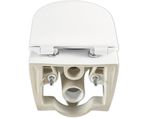 Keramisch wandcloset met closetzitting