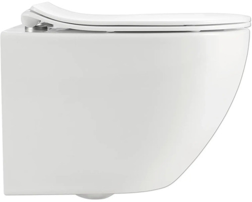 Wandcloset met diepspoeling en toiletzitting