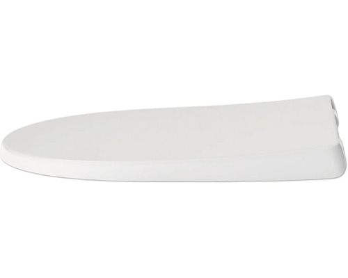 Toiletdeksel van sanitair keramiek