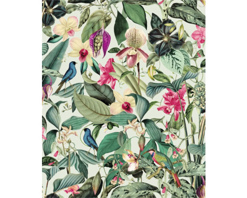 Tropisch patroon met bloemen en vogels