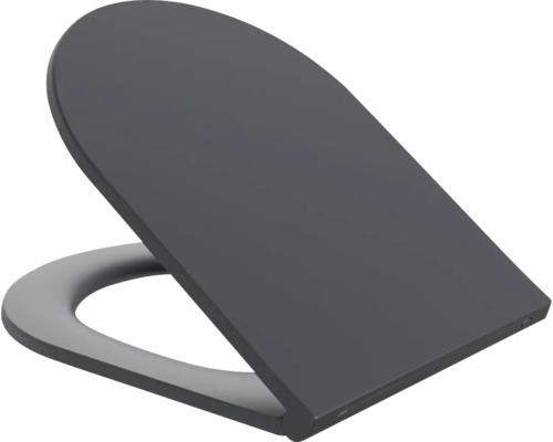 Toiletdeksel van kunststof