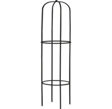 Metalen plantensteun voor de tuin