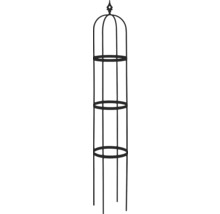 Metalen plantensteun voor de tuin