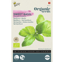 Buzzy Zoete basilicum, Italiano Classico, biologisch product
