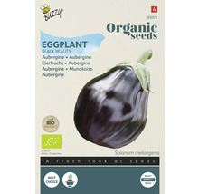 Buzzy Logo. Verpakking biologische auberginezaden van het ras Black Beauty.