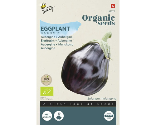 BUZZY Groentezaden Aubergine Black Beauty biologisch