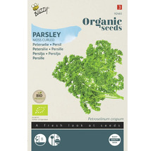 Biologisch zaad peterselie, soort moskrul