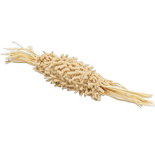 Gedroogde Lagurus plant