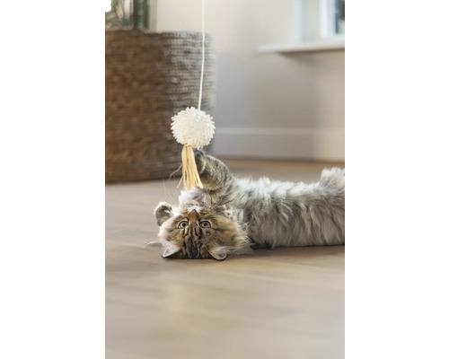 Een kat ligt op zijn rug en speelt met een speeltje.