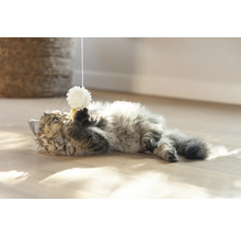 Een kat speelt met een speelgoedbal aan een touwtje op de grond.