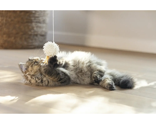 Een kat speelt met een speelgoedbal aan een touwtje op de grond.