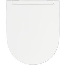 Toiletdeksel van kunststof