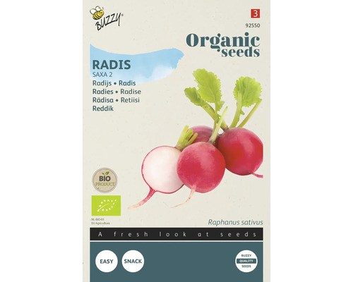 BUZZY Groentezaden Radijs Saxa 2 biologisch