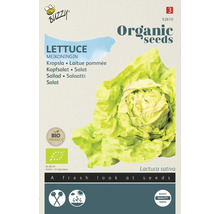 Buzzy Sla Meikoningin Biologisch zadenpakket