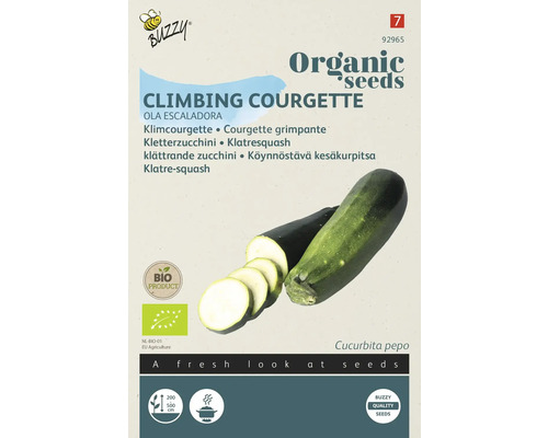 BUZZY Groentezaden Courgette Ola Escaladora biologisch