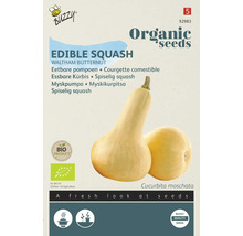 Buzzy Waltham Butternut Eetbare pompoen zadenpakket