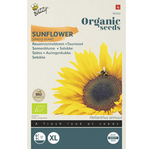 Buzzy Zonnebloem Single Giant biologisch zaad pakket