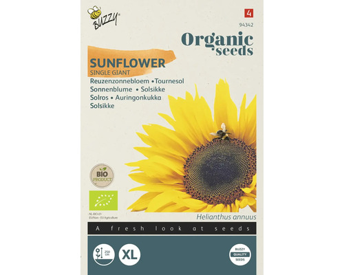 BUZZY Bloemenzaden Helianthus, Reuzenzonnebloem Giganteus biologisch BUZZY Bloemenzaden Helianthus, Reuzenzonnebloem Giganteus biologisch