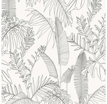 Illustratie van bladeren van verschillende tropische planten