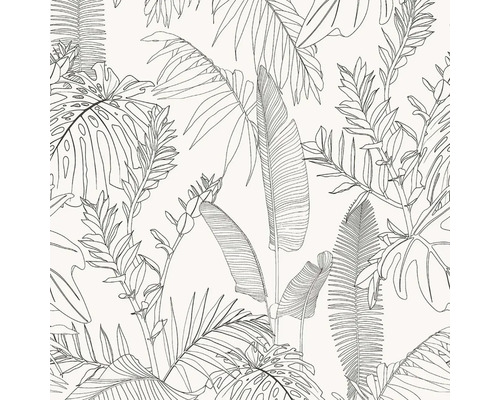 Illustratie van bladeren van verschillende tropische planten