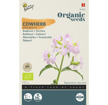 Biologisch zadenpakket Koekruid Pink Beauty