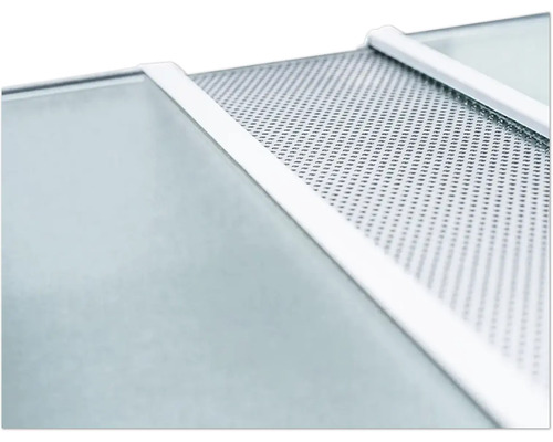 Detailweergave van een insectenhor met frame