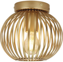 Gouden plafondlamp met kooikap voor binnenshuis