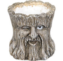 Bloempot in boomstronklook met gezicht