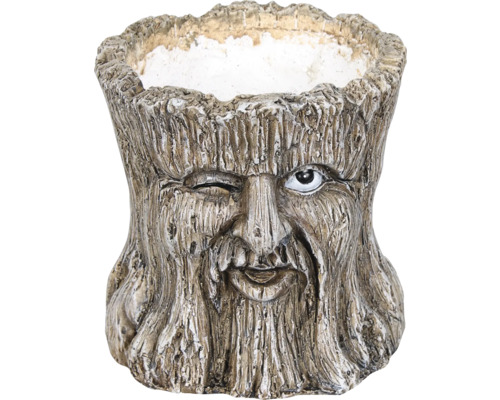 Bloempot in boomstronklook met gezicht