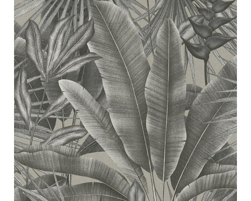 A.S. CRÉATION Vliesbehang 39647-3 Stories of Life jungle bladeren grijs A.S. CRÉATION Vliesbehang 39647-3 Stories of Life jungle bladeren grijs