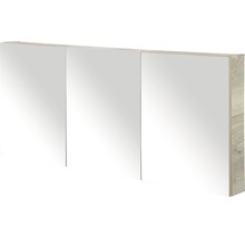 Spiegelkast met drie deuren voor de badkamer