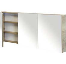 Spiegelkast met twee deuren en planken